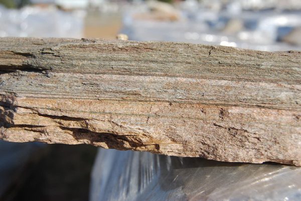 Beige-Quartzite-Cladding-Cloeup-600x402